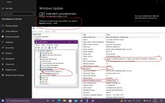 Eski Sisteme Windows Update İle Windows11 Yükleme